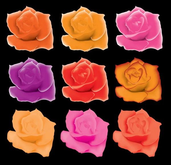Conjunto Vetorial Rosas Coloridas — Vetor de Stock