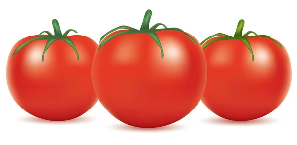 番茄味 — 图库矢量图片