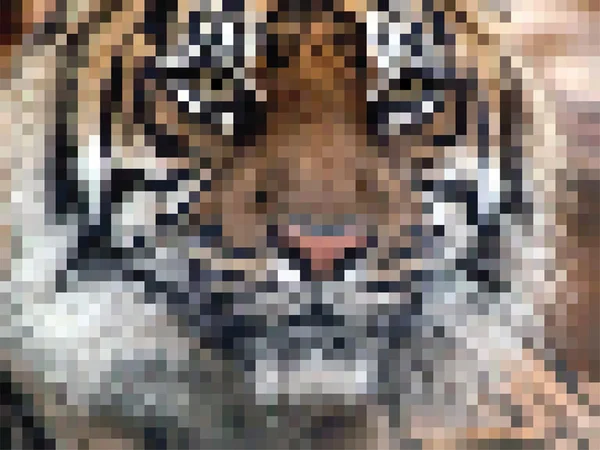 Vektor mosaik med tiger — Stock vektor