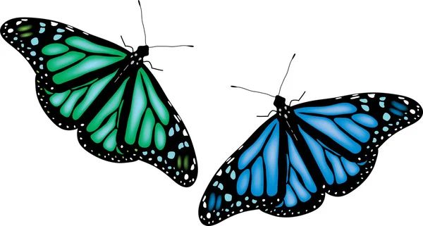 色彩艳丽的蝴蝶，在白色背景上 — 图库矢量图片