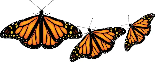 Papillons colorés sur fond blanc — Image vectorielle