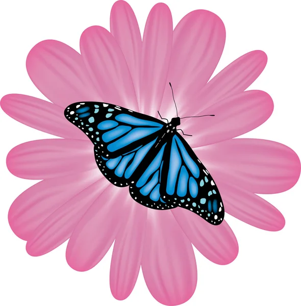 Vector mariposa en una flor rosa — Archivo Imágenes Vectoriales