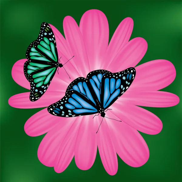 Papillons vecteurs sur une fleur rose — Image vectorielle