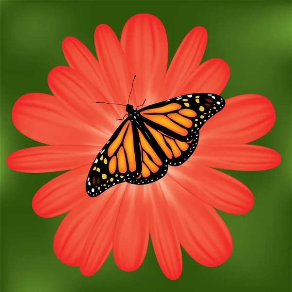 Vektör kelebek üzerinde kırmızı bir çiçek — Stok Vektör