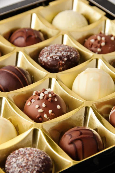 Chocolate Gathering Stock Photo