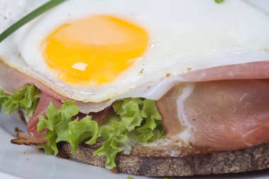 Spiegelei auf Schinkenbrot mit Salat