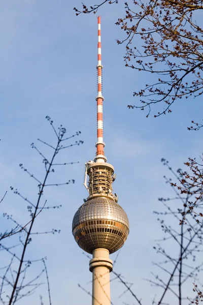 Tower East Berlin — Stock Photo, Image