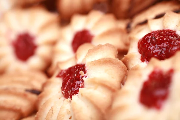 Stock image Homemade chip cookie