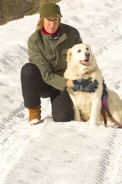 stock image Female in winter on a trail with dog