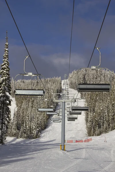 stock image Ski Lift Line portrait