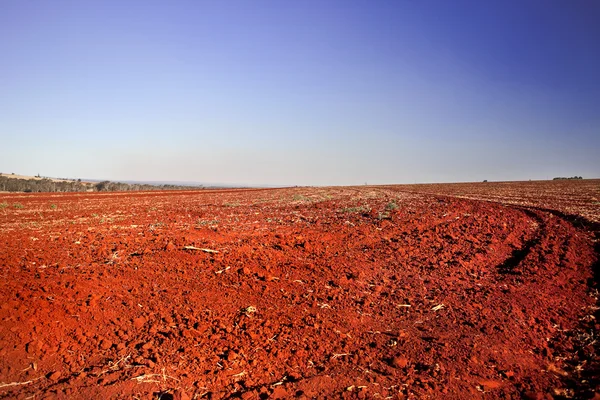 stock image Old Dried out Farming Land