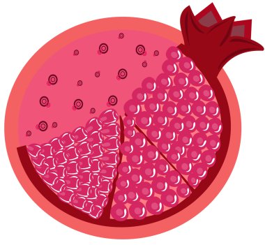 Vector illustration - rich red pomegranate isolated on white clipart