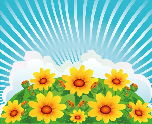 Feld Der Frühlingsblumen Und Sonniger Tag — Stockvektor