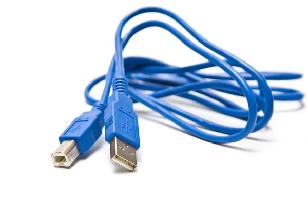 stock image USB A-B lead for connection of peripherals