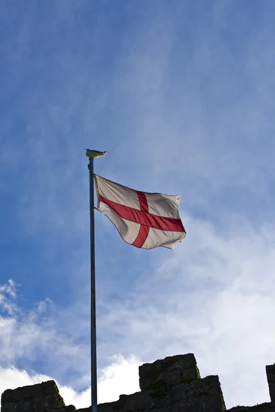 stock image Flag flying