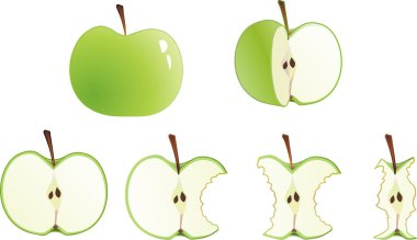 Set of apples from whole to stub clipart