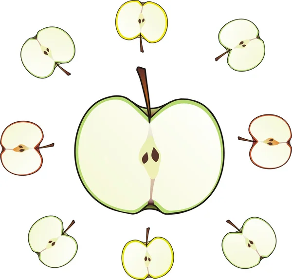 Apple Разрезала Полуизолированную Иллюстрацию — стоковый вектор