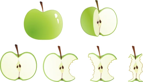 Zbiór Jabłek Całości Stub — Wektor stockowy