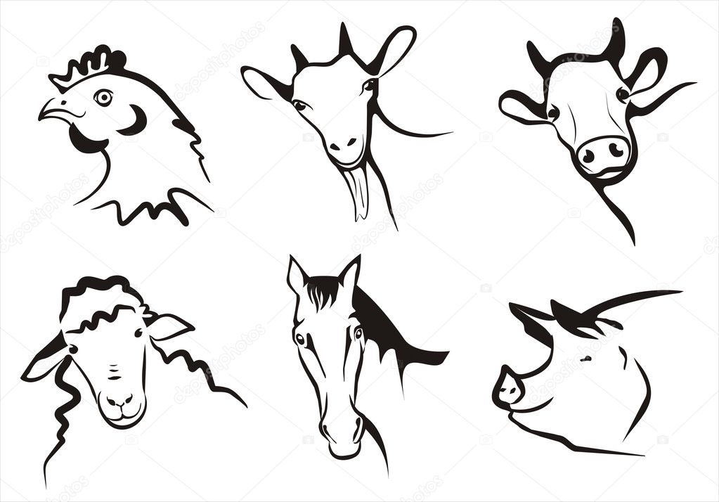 Farm animals collection of symbols