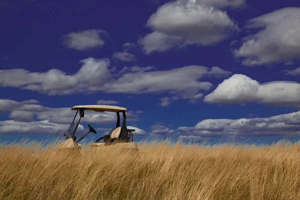 Golf cart nell'erba alta — Foto Stock