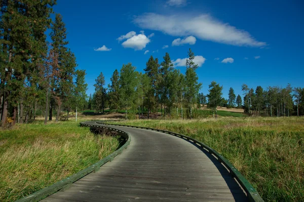 stock image Golf cart path through course