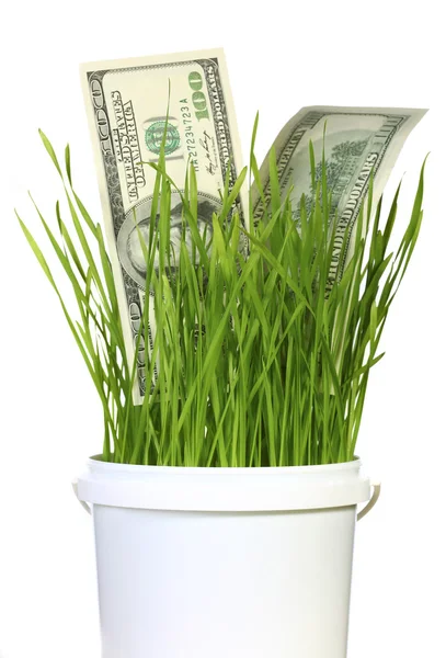 Dolarów w trawie — Zdjęcie stockowe