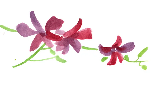 Streszczenie tło kwiatowy malowane — Zdjęcie stockowe