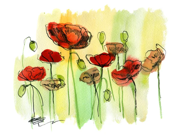 Painted watercolor poppies — Stock Photo, Image