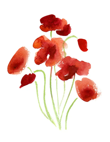 Painted watercolor poppies — Stock Photo, Image