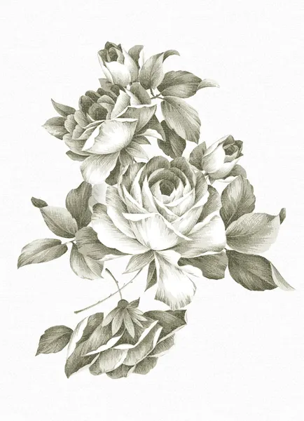 Uit de vrije hand tekenen rose — Stockfoto