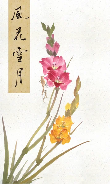 Közepes Kínai Festészet Egy Szitakötő Virág — Stock Fotó