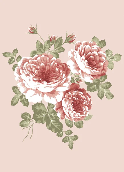 Hand Drawn Beautiful Rose Bouquet Design Simple Background — Stock Photo, Image