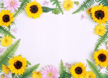 Floral frame-006 clipart