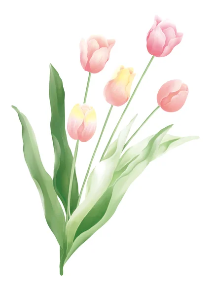 Ілюстрація Красивим Прикрасою Тюльпанів — стокове фото