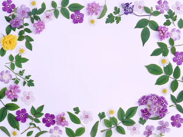 Schöne Bunte Hintergrund Mit Frühlingsblumen Für Ihren Text — Stockfoto