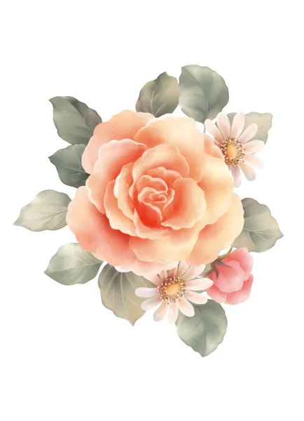 Illustrazione Con Bellissime Rose Decorazione — Foto Stock