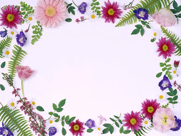 Marco Floral Con Lugar Para Texto — Foto de Stock
