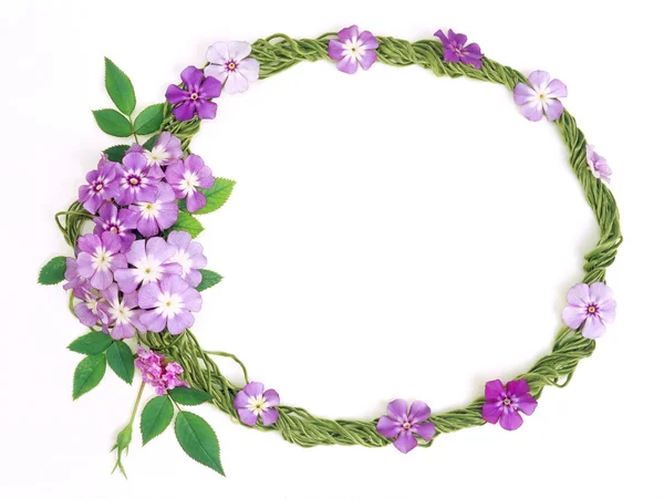 Floral frame-016 — Stockfoto