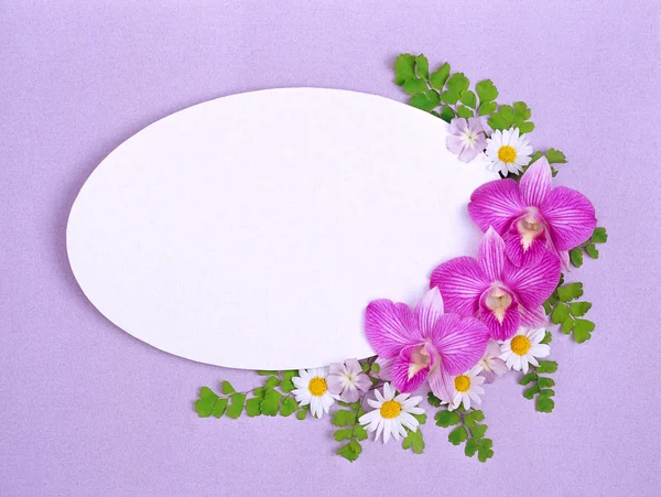 Schöne Bunte Hintergrund Mit Blumen Für Ihren Text — Stockfoto