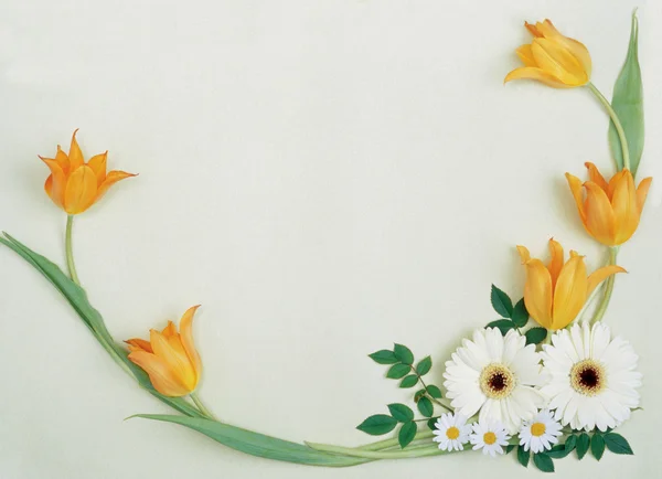 Cornice Verticale Con Tulipani Tuo Testo — Foto Stock