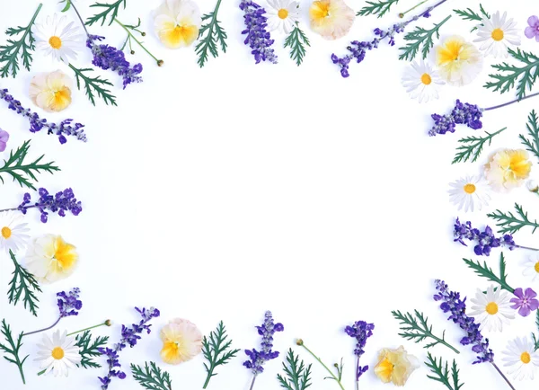 Прекрасний Барвистий Фон Весняними Квітами — стокове фото
