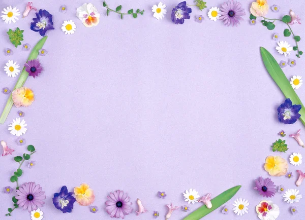 Hermoso Fondo Colorido Con Flores Verano Para Texto — Foto de Stock