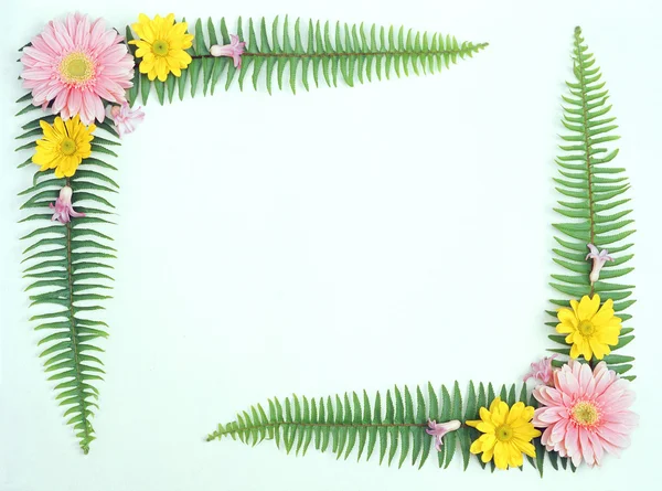 Blumenrahmen Schöner Bunter Hintergrund Mit Sommerblumen — Stockfoto