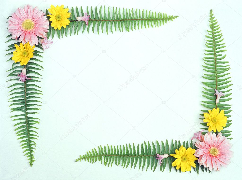 Floral frame - Beautiful colorful background with summer flowers