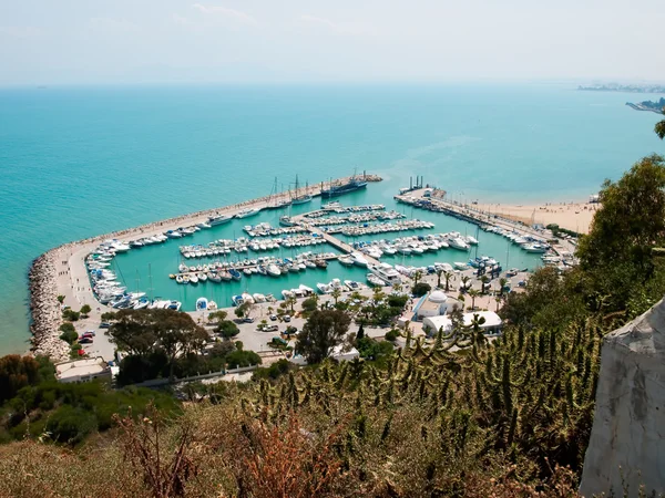 Vista Zona Del Mar Con Aparcamiento Para Yates Túnez — Foto de Stock