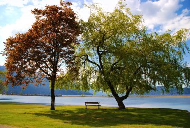 View of harrison hot springs clipart