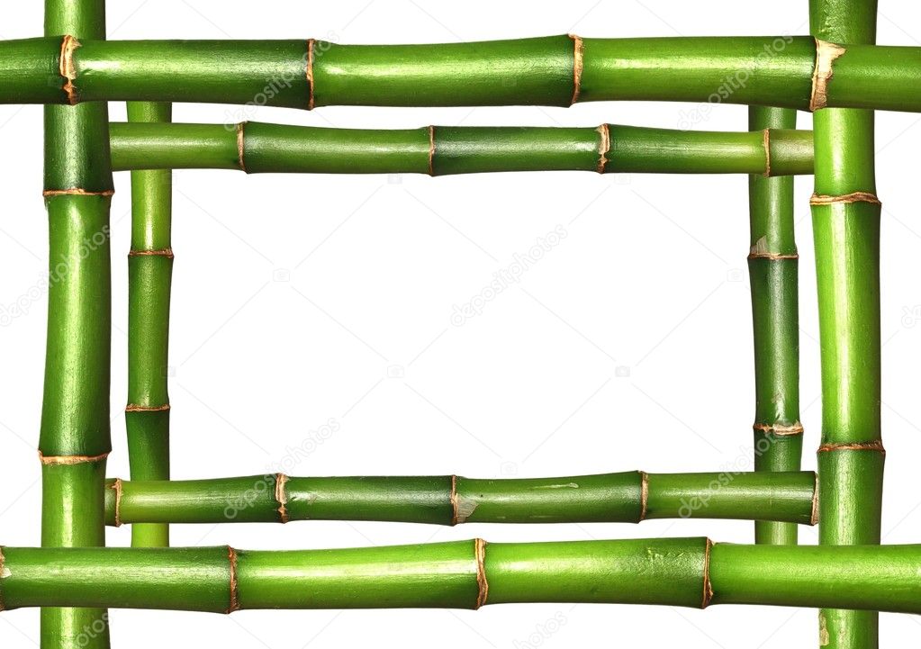Bamboo stems frame border on white background