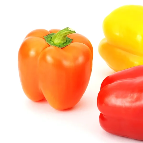 Färgglada peppar mönster — Stockfoto