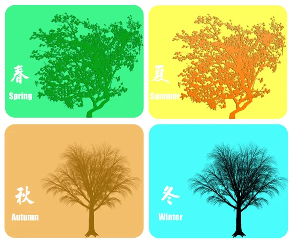Four season colorful background — Stock Photo, Image