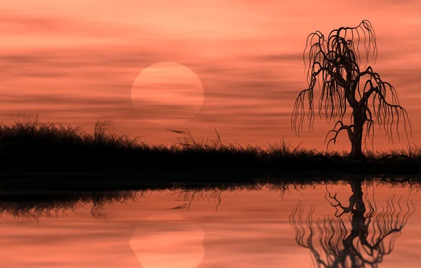 Spiegelnder Uferbaum Goldenen Sonnenuntergang — Stockfoto